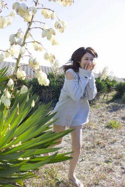 火加偏旁组新字