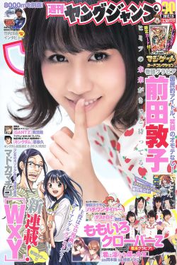 游本昌退休工资