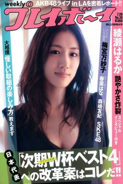 农村强在线播放