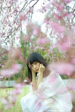 斗破苍穹年番观看免费完整观看